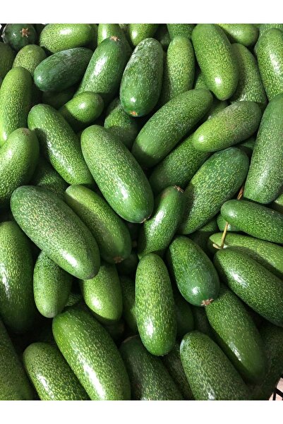 ARI ORGANIC Bebek Avokado 0.5 kg