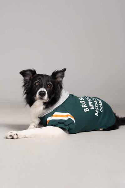 salya store Nefti yeşili köpek sweatshirt brooklyn, küçük, orta ve büyük ırk köpek kıyafeti