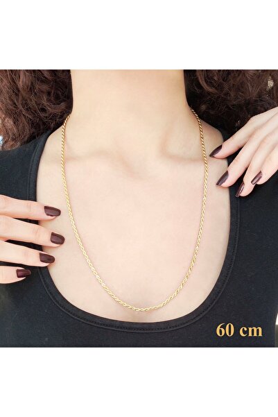 FerizZ Çelik Zincir Altın Kaplama Burgu Model 2,5 MM ZN-126