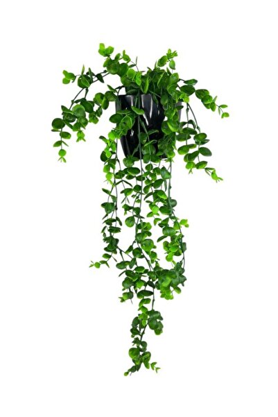 Nettenevime Yapay Çiçek Saksıda Sarkan Şimşir Okaliptus Yapay Sarmaşık 56cm Siyah Saksıda