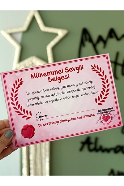 Pankart Evi Sevgiliye Hediye - Mükemmel Sevgili Belgesi - Aşk Sertifika