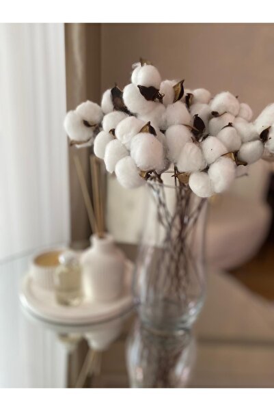 Miha Deco Φυσικό Βαμβακερό Λουλούδι 10 Τεμάχια Μονόκλαδο Ξηρό Λουλούδι 30 εκ....
