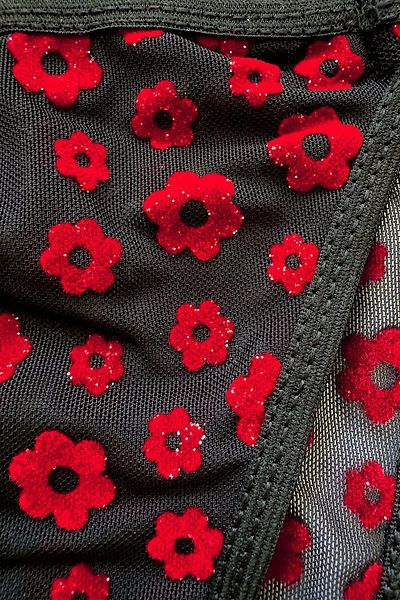 ifondi Red Velvet Bra Set - Daisy Pattern and Support