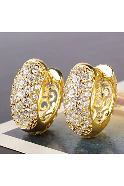 Luxury Steel Earrings with Gold Plated Zircon Gemstone