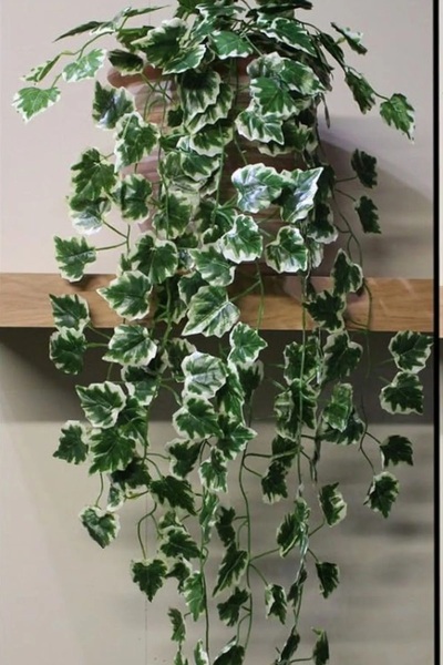 YASİMA Yapay Lux Sarmaşık 90 Cm 9 Dallı Kokina Çit Ağacı Duvar Asılı Saksısız Sarkan Bitki Sarkıt