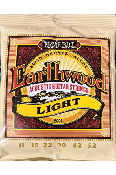 Ernie Ball Akustik Gitar Teli 80/20 Bronze Alloy 2004