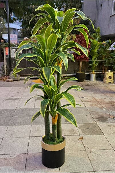 RUZGARCİCEK Rüzgar Yapay Çiçekçilik  Massengena 180 Cm 66 Yaprak