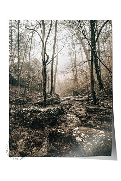 Postifull Poster rustic fără rame, pictură nordică maro, NR:146 Fotografie cu...