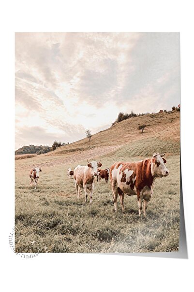 Postifull Poster rustic fără încadrare, pictură nordică albă, NR:396 Fotograf...