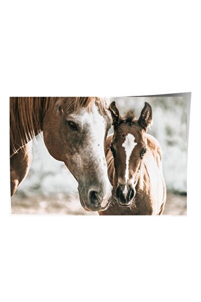 Postifull Poster rustic fără încadrare, pictură nordică maro, nr:501 Fotograf...