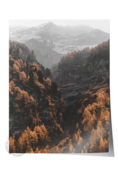 Postifull Poster rustic fără ramă, pictură nordică maro, nr:481 Fotografie na...