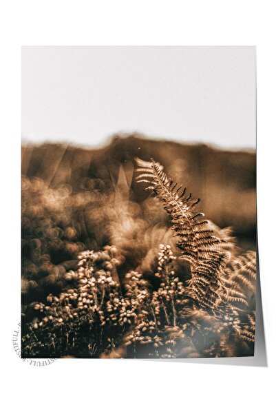 Postifull Poster rustic fără rame, pictură nordică maro, nr:475 Fotografie cu...