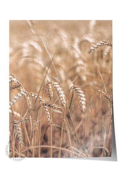 Postifull Rustic Çerçevesiz Poster, İskandinav Kahverengi Tablo, NO:153 Tarla...