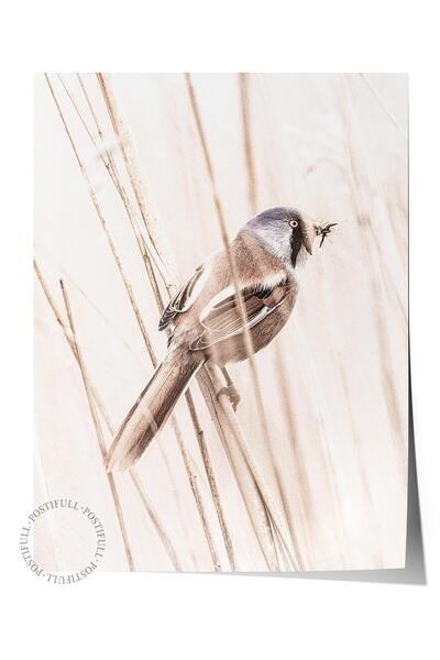 Postifull Rustic Çerçevesiz Poster, İskandinav Kahverengi Tablo, NO:290 Kuş F...