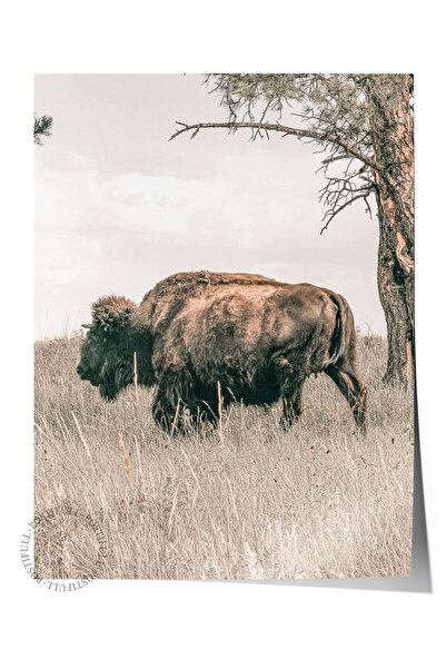 Postifull Rustic Unframed Poster, Scandinavian Brown Painting, No:260 Buffalo...