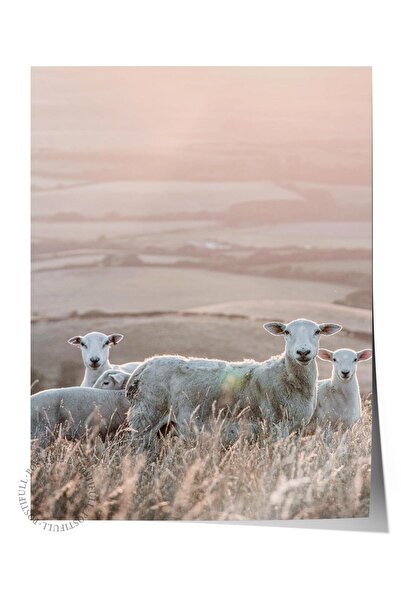 Postifull Poster rustic fără rame, pictură nordică maro, NR:309 Fotografie de...