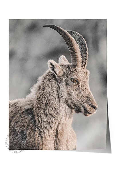 Postifull Rustic Çerçevesiz Poster, İskandinav Kahverengi Tablo, NO:295 Dağ K...