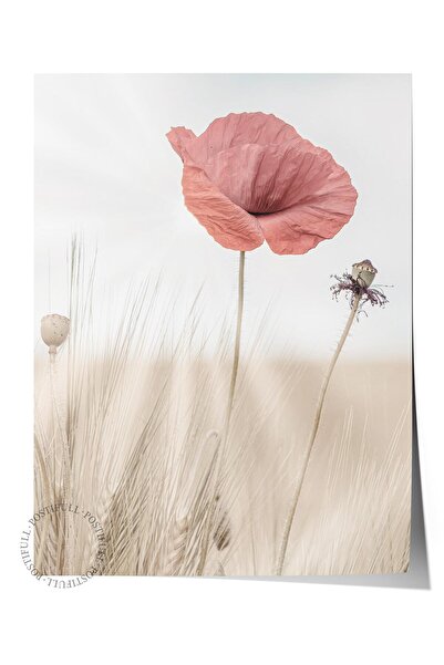 Postifull Rustic Çerçevesiz Poster, İskandinav Kırmızı Tablo, NO:335 Gelincik...