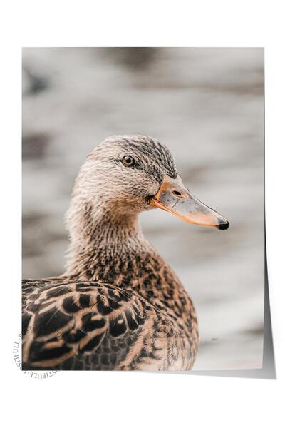 Postifull Poster rustic fără ramă, pictură nordică maro, NR:354 Fotografie cu...