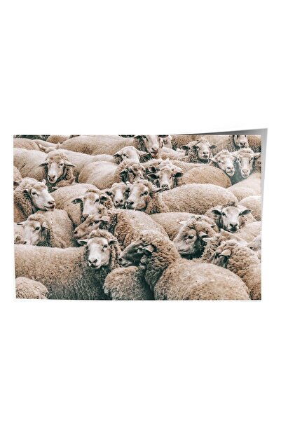 Postifull Poster rustic fără rame, pictură albă nordică, nr:497 Fotografie cu oi