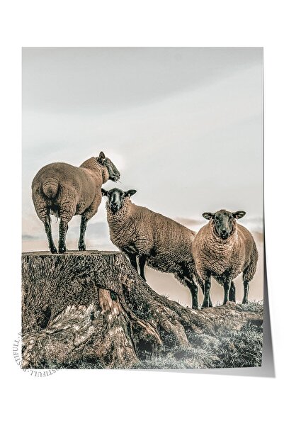 Postifull Poster rustic fără rame, pictură nordică albă, NR:399 Fotografie cu...