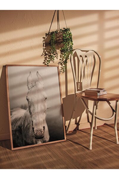 Postifull Rustic Çerçevesiz Poster, İskandinav Beyaz Tablo, NO:299 At Fotoğraf, Dikey