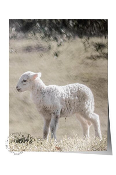 Postifull Poster rustic fără ramă, pictură nordică albă, NR:366 Fotografie de...