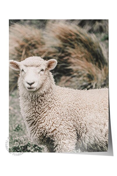 Postifull Poster rustic fără ramă, pictură nordică maro, NR:252 Fotografie de...