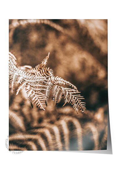 Postifull Poster rustic fără rame, pictură nordică maro, nr:456 Fotografie cu...