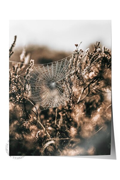 Postifull Poster rustic fără ramă, pictură nordică maro, nr:465 Fotografie cu...