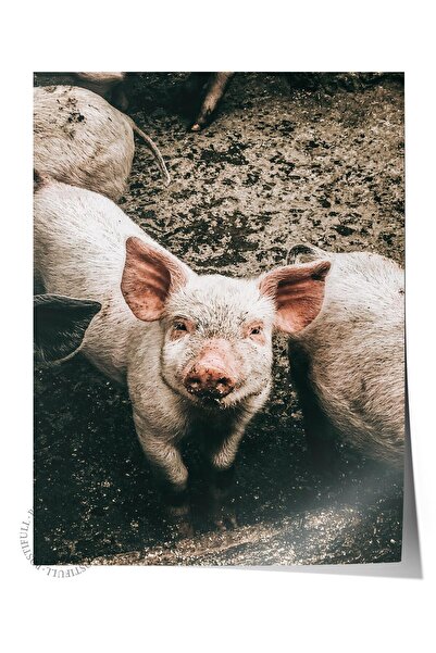 Postifull Poster rustic fără rame, pictură nordică maro, nr:419 Fotografie cu...