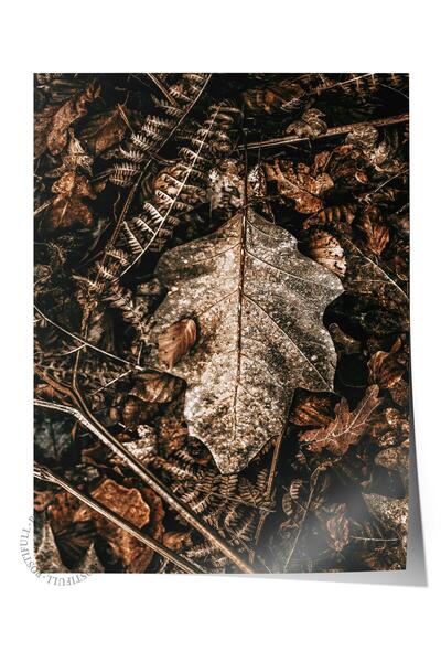 Postifull Poster rustic fără rame, pictură nordică maro, nr:458 Fotografie cu...