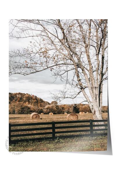 Postifull Rustic Çerçevesiz Poster, İskandinav Kahverengi Tablo, NO:221 Çit v...