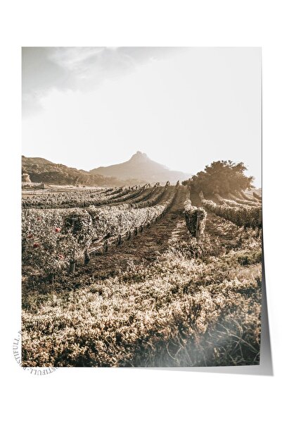 Postifull Рустик плакат без рамка, скандинавска кафява картина, NO:161 Снимка...