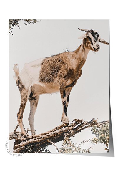 Postifull Poster rustic fără rame, pictură nordică albă, NR:334 Fotografie de...