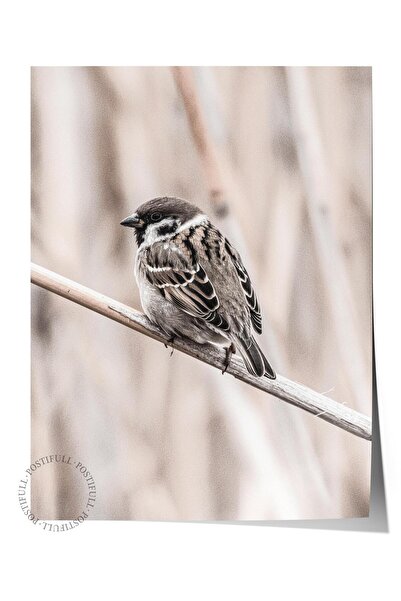 Postifull Poster rustic fără rame, pictură nordică maro, NR:304 Fotografie cu...