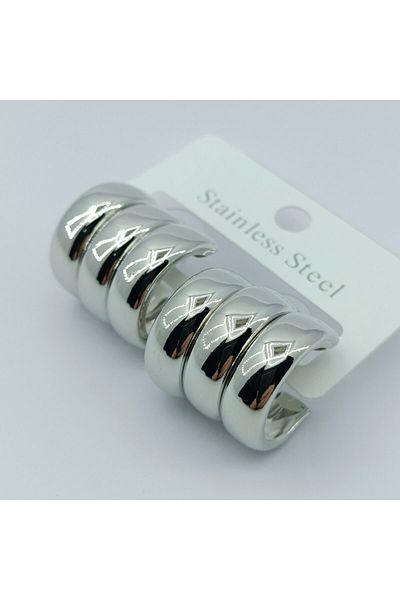 PERİYOLU Steel Waterfowl Pelo Earrings Silver Color