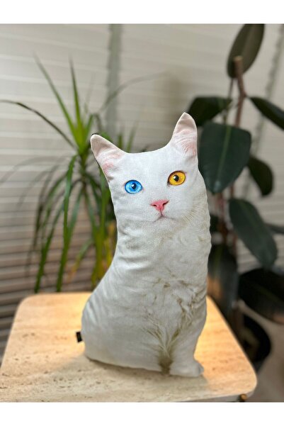 Pethoven Kedi şeklinde yastık 'Van kedisi'