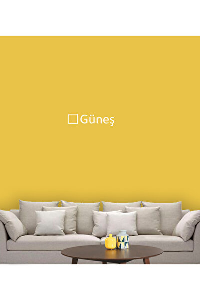 GONDEX İç Cephe Duvar Boyası, Küçük Ambalaj 200 ml - 2025 Renkleri, 3 Numara ...