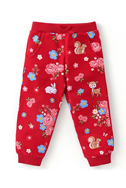 Babyhug Babyhug Terry Cotton Knit Full Sleeve Hoodie & Lounge Pants/Co/ord Set with Floral Print -Red & Pink
