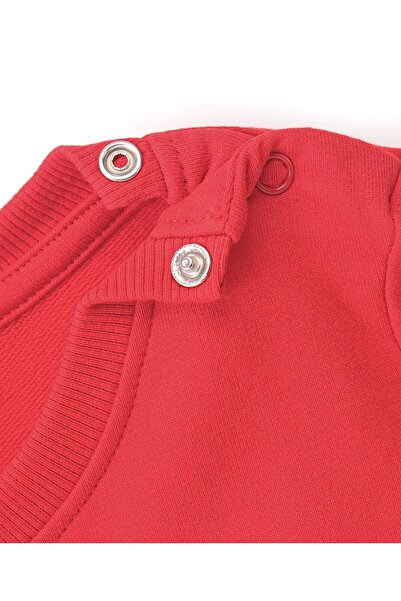 Babyhug Babyhug Cotton Knit Full Sleeve Brushed Fleece Sweatshirt Teddy Graphics & Applique Detailing-Red