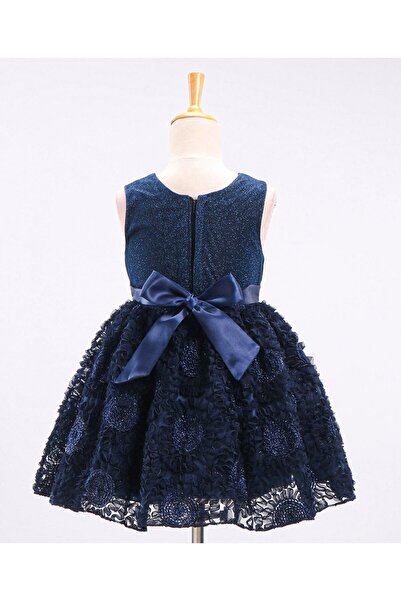 Babyhug Babyhug Mesh Sleeveless Embroidery Frock - Navy
