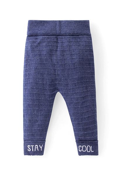 Babyhug Babyhug Full Length Fleece & Woollen Pant with Text Embroidery Solid Colour - Blue