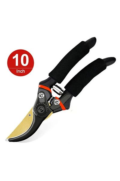 Choice 1 Pc 10 Inch Golden Eagle Beak Fruit Tree Pruning Shears, Rough Branch, Energy Efficient Flower Gard