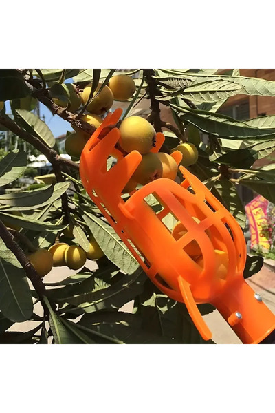 Choice أداة قطف الفاكهة عالية الارتفاع من قطعة واحدة باللون البرتقالي من M، أ...