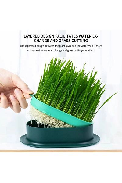 Choice 19x12.3x4.5cm Blue Green New Pet Cat Sprout Dish Growing Pot Hydroponic Plant Cat Grass Germination