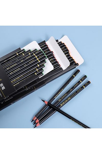 Choice 12PCS Professional Charcoal Pencils for Drawing, Sketching, Shading, Artist Pencils for Beginners...