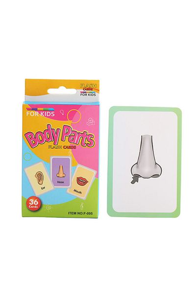 OLOEY Body 36pcs 36pcs Kids Cognition Card Shape Animal Color Teaching Baby English Learning Word Card Edu