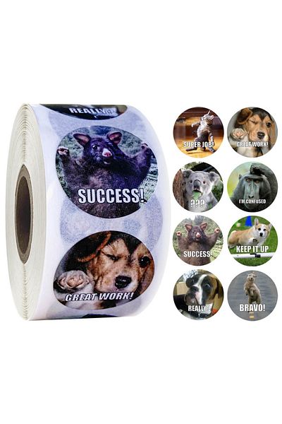 Choice Style 2 500pcs Reward Stickers Motivational Stickers Roll For Kids For School Reward Students Teache