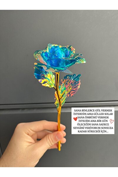 Sepetten Eve Sonsuzluk Gülü Hediyelik Gül - Ev Dekor - Sevgiliye Hediye-Solmayan Gül 14 ŞUBAT SEVGİLİLER GÜNÜ
